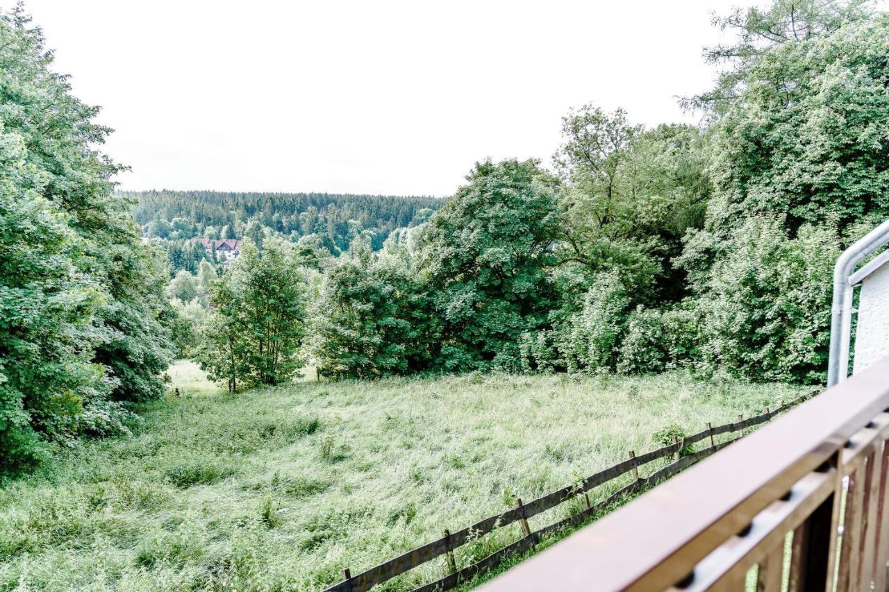 Wiesenblick Appartement Goslar Buitenkant foto